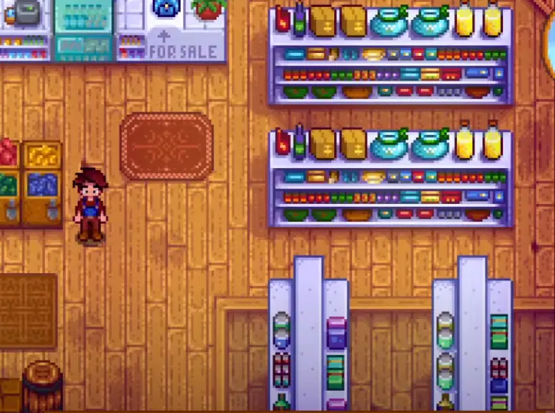 stardew valley gameplay inside the shop